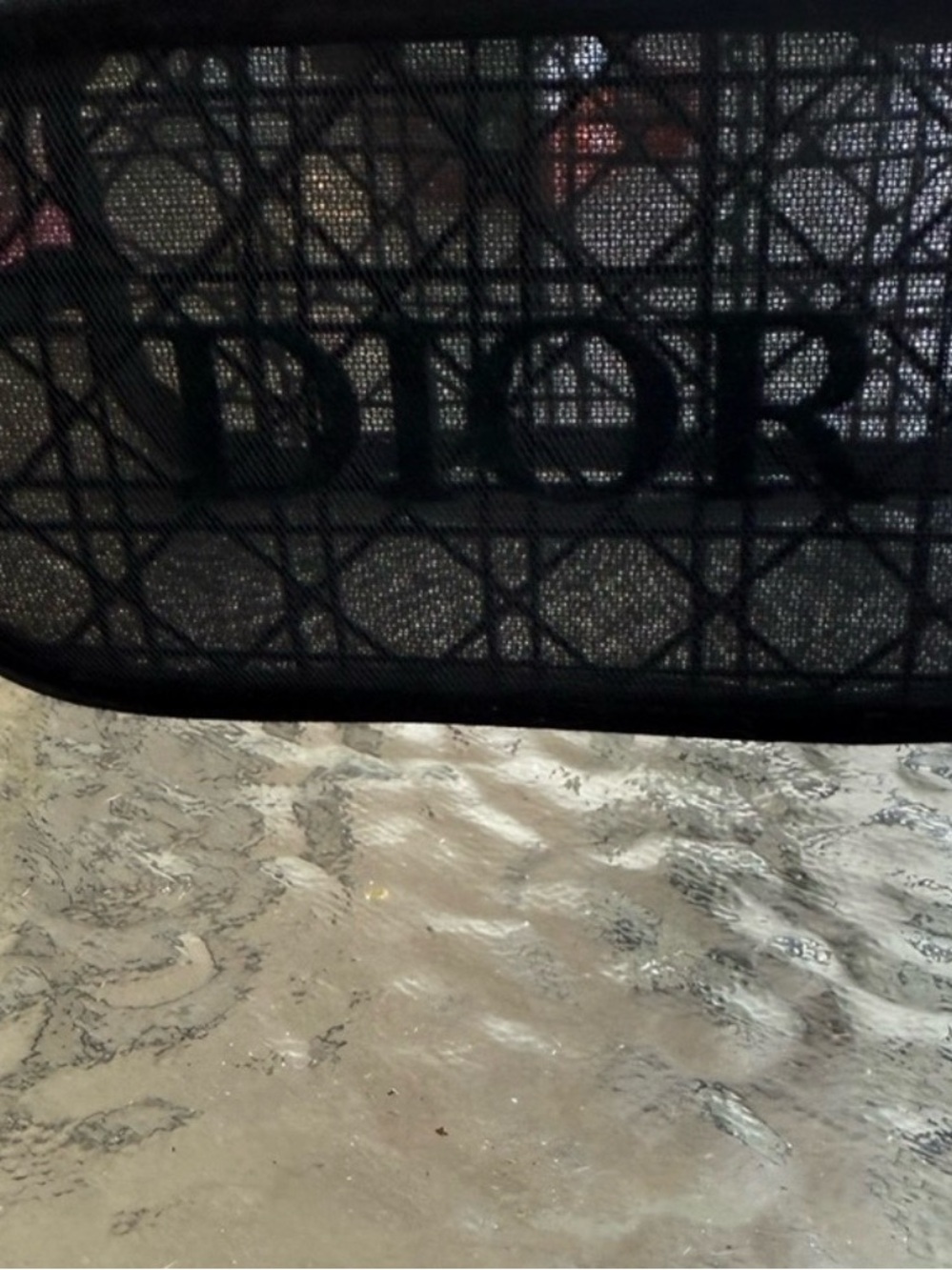Dior makeup case/ brush case